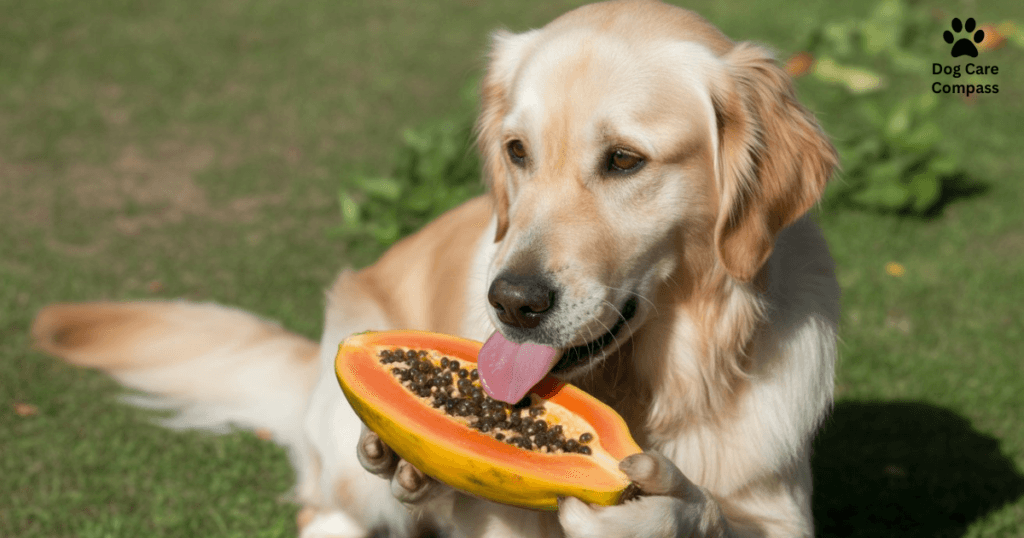 Can Dogs Eat Papaya