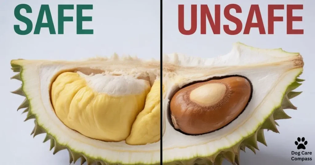 Durian flesh safe and seeds unsafe for dogs comparison