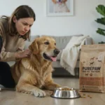 Dog Food Change Caused Soft Poop